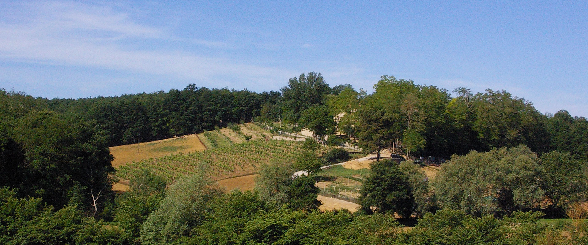 Agriturismo Il Faetino