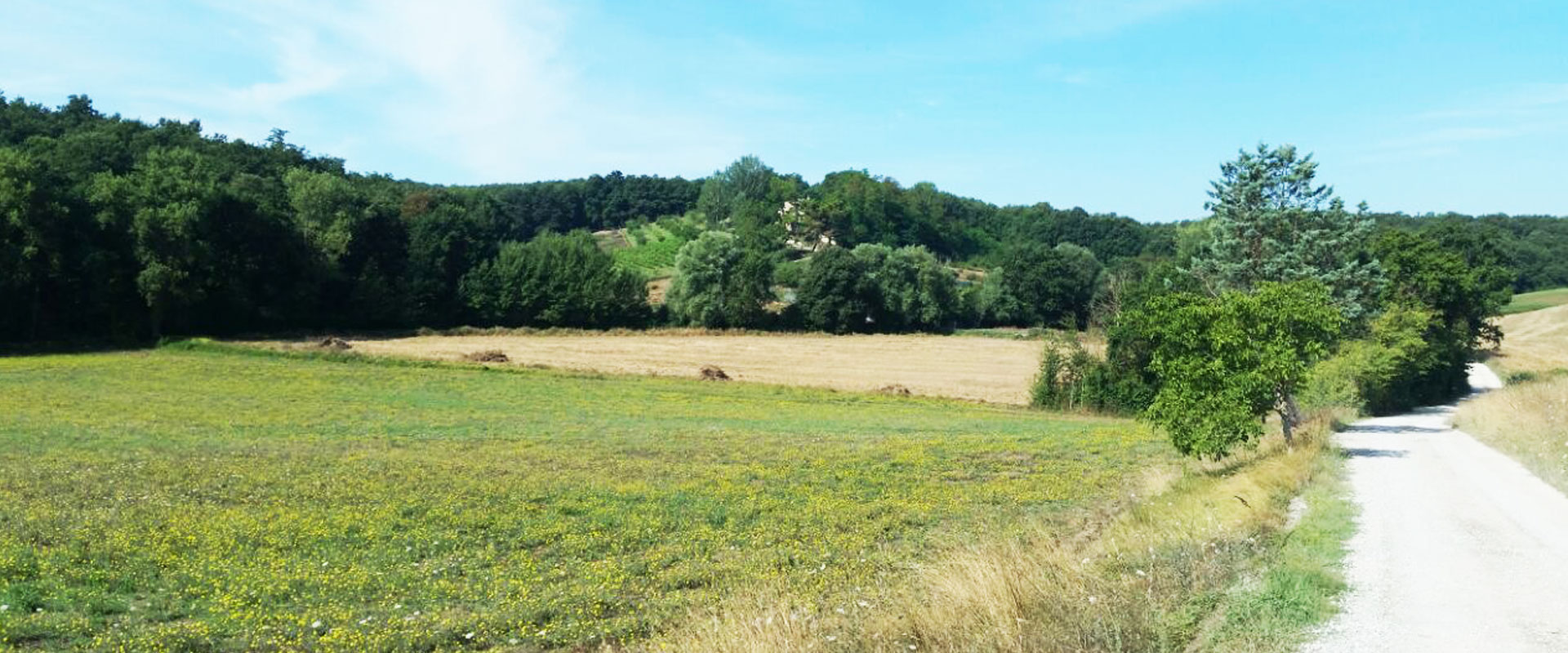 Agriturismo Il Faetino